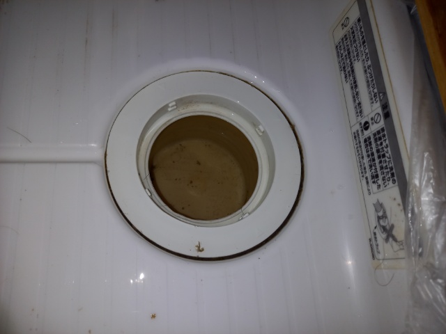 洗濯排水トラップ清掃